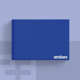 Ambev 2013